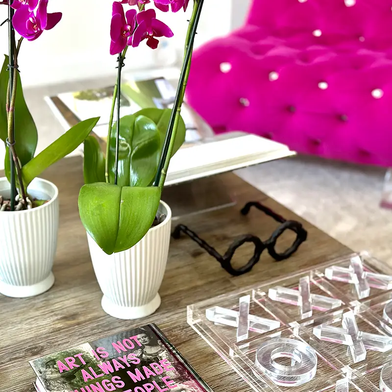 splashes of pink with a green plant