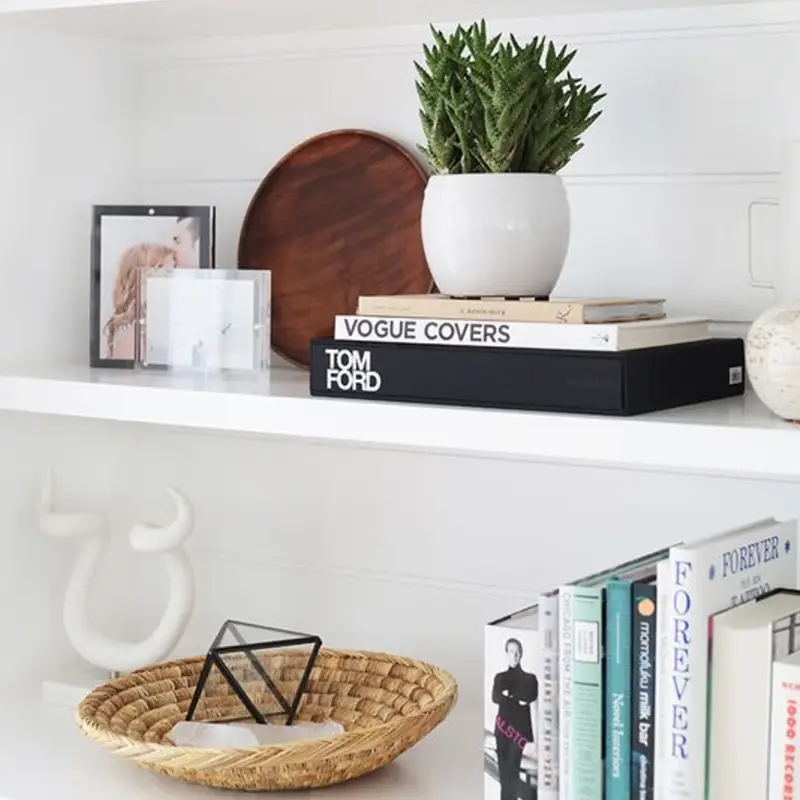 books and plant on organized shelves